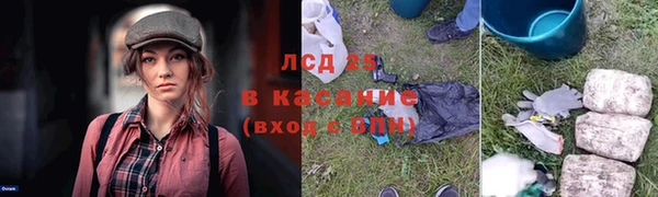 дживик Аркадак