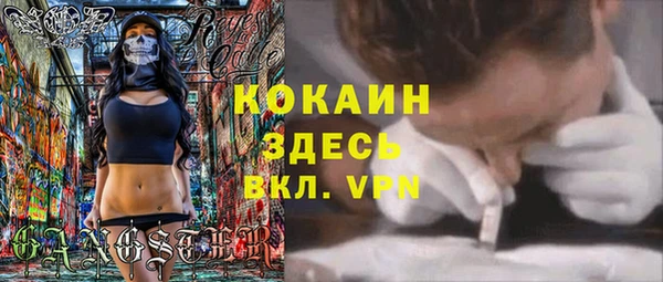 дживик Аркадак