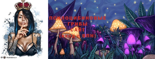 бошки Арсеньев
