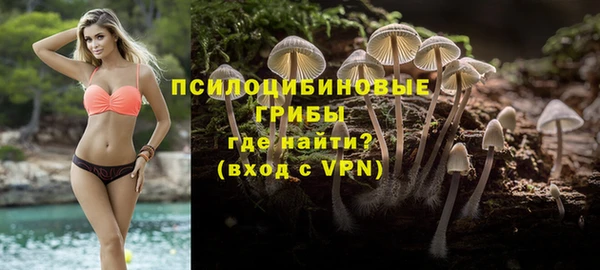 спиды Армянск
