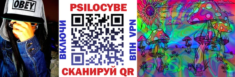 Галлюциногенные грибы Cubensis  хочу наркоту  Фрязино 